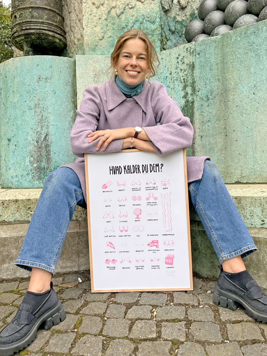 'HVAD KALDER DU DEM?' - BRYSTER PLAKAT
