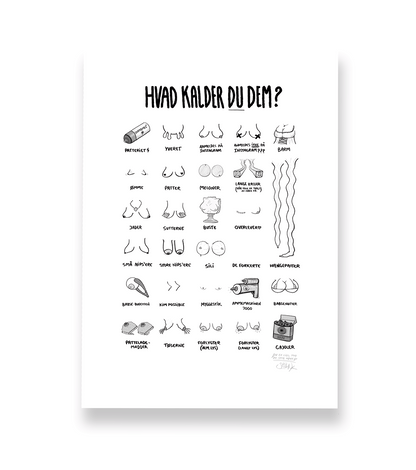 'HVAD KALDER DU DEM?' - BRYSTER PLAKAT