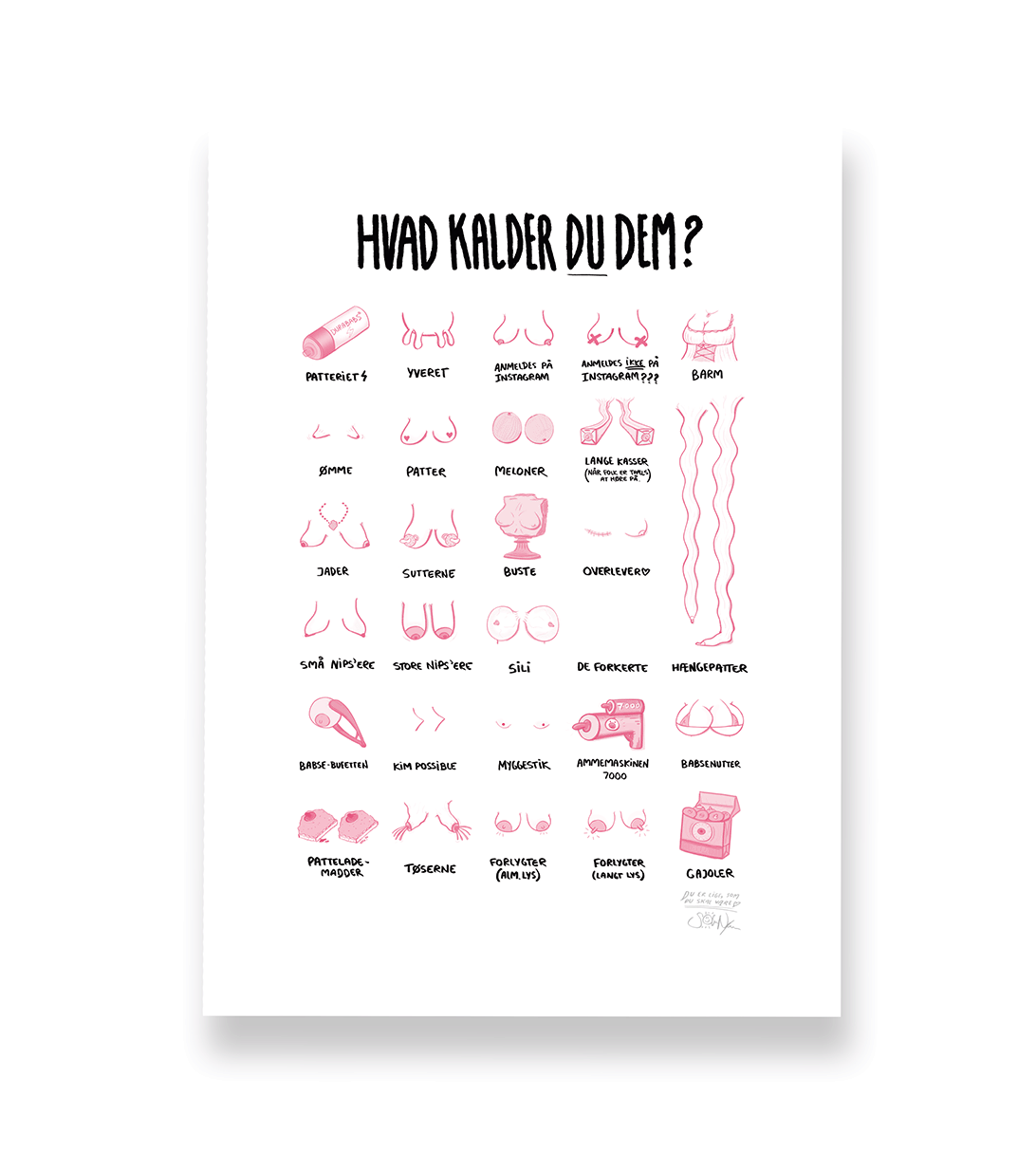 'HVAD KALDER DU DEM?' - BRYSTER PLAKAT