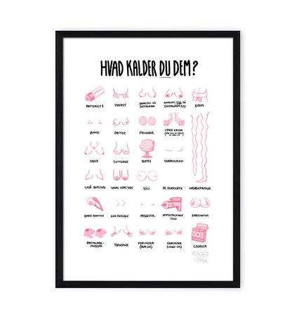 'HVAD KALDER DU DEM?' - BRYSTER PLAKAT