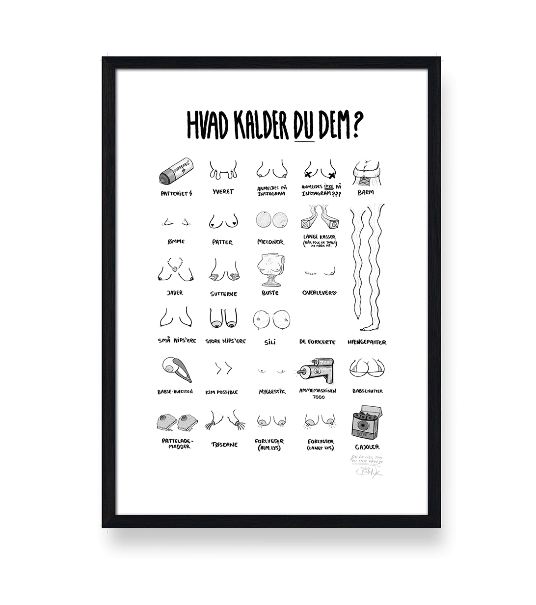 'HVAD KALDER DU DEM?' - BRYSTER PLAKAT