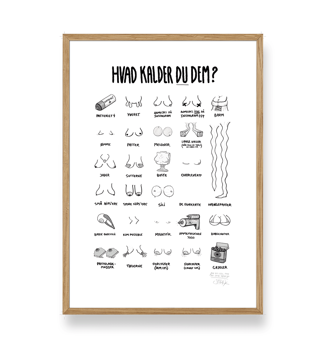 'HVAD KALDER DU DEM?' - BRYSTER PLAKAT