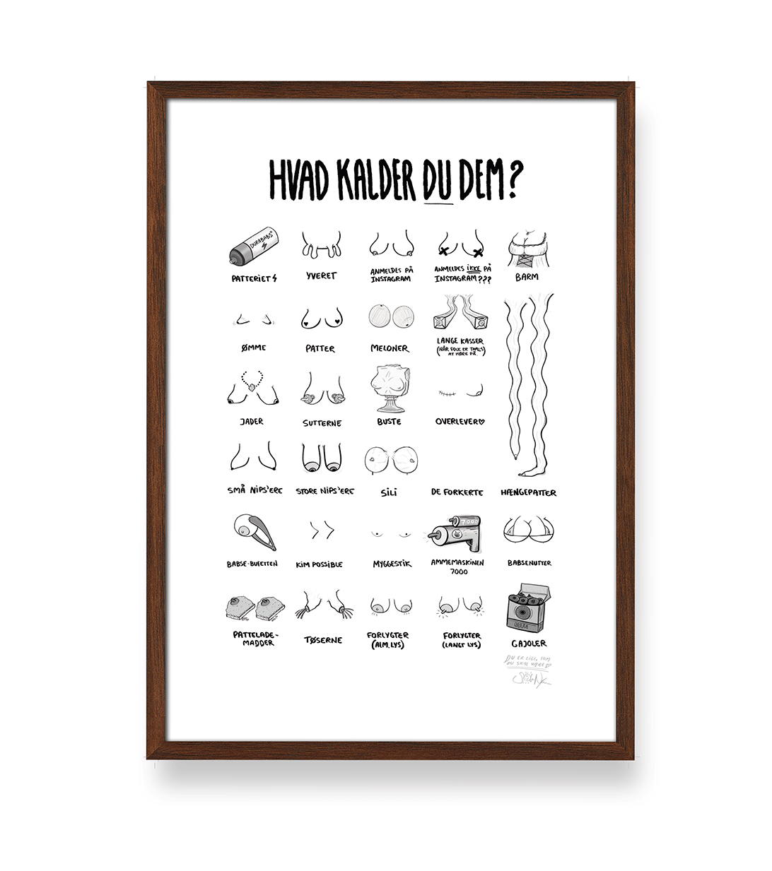 'HVAD KALDER DU DEM?' - BRYSTER PLAKAT
