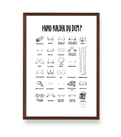 'HVAD KALDER DU DEM?' - BRYSTER PLAKAT