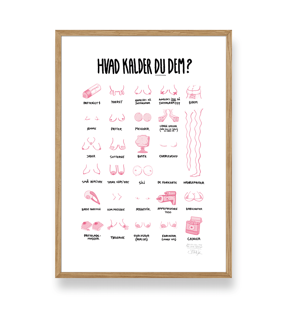 'HVAD KALDER DU DEM?' - BRYSTER PLAKAT