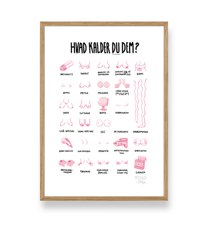 'HVAD KALDER DU DEM?' - BRYSTER PLAKAT