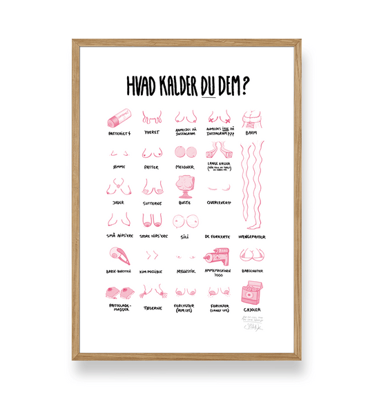 'HVAD KALDER DU DEM?' - BRYSTER PLAKAT