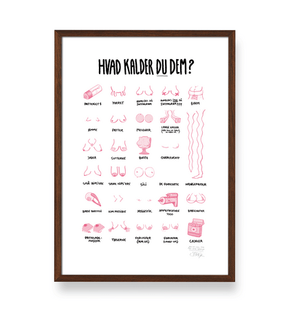 'HVAD KALDER DU DEM?' - BRYSTER PLAKAT