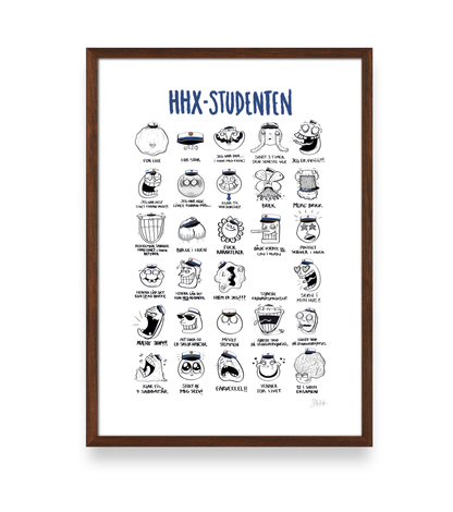 STUDENT PLAKAT - HHX