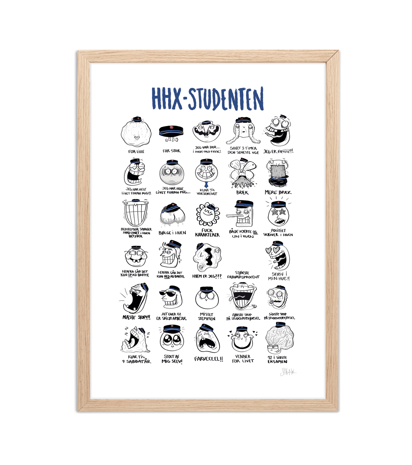 STUDENT PLAKAT - HHX
