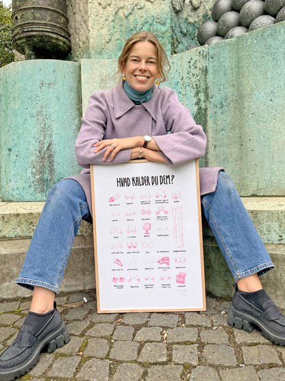'HVAD KALDER DU DEM?' - BRYSTER PLAKAT