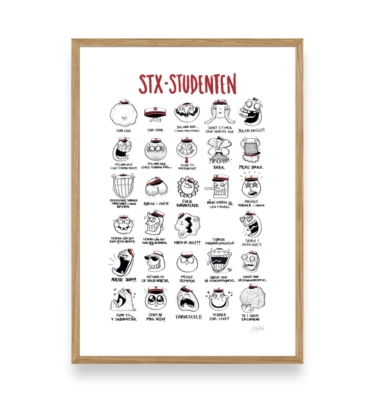 STUDENT PLAKAT - STX
