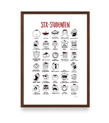 STUDENT PLAKAT - STX