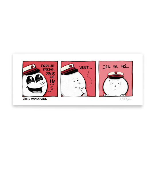 'Livets mange valg' - COMIC PLAKAT